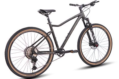 Превью Прогулочный горный велосипед Велосипед HAGEN Q10 (2025) Black Gem